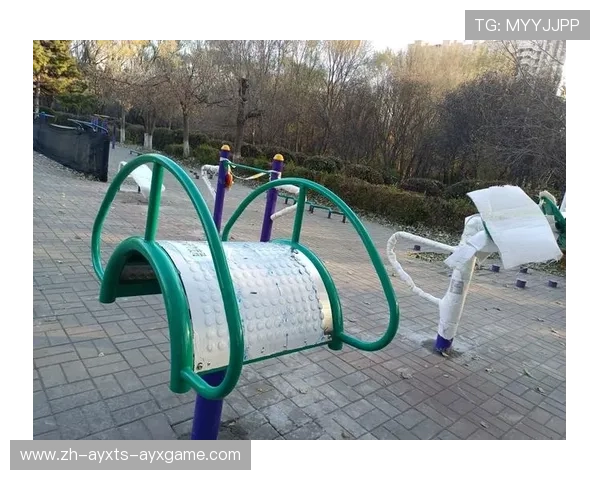 陕西健身器材：陕西省本地健身器材生产厂家与销售渠道