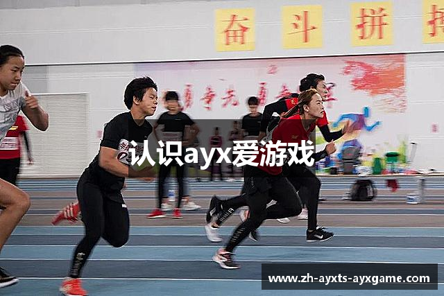 认识ayx爱游戏
